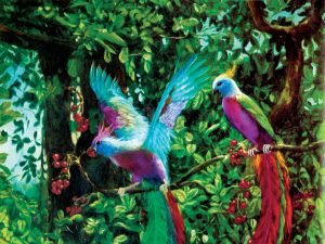 BG 2. 22 Krsna and the living entity are seated on the tree of the body