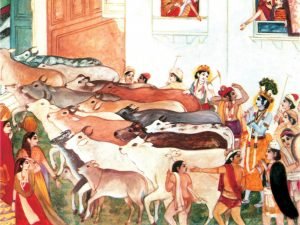 BG 8. 21 Krsna brings His thousands of surabhi cows back home